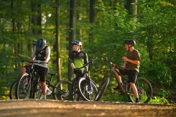 Gruppe von Bikern im Wald